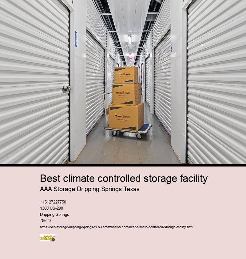 aaa storage dripping springs tx